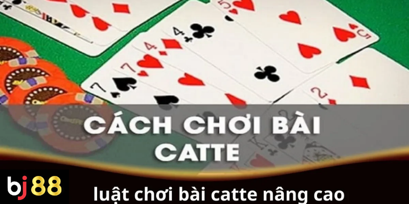 Luật Chơi Bài Cát Tê Nâng Cao: Bí Quyết Đọc Vị & Chiến Thuật Đỉnh Cao 2 Luật chơi bài Catte nâng cao cho người chơi chuyên nghiệp